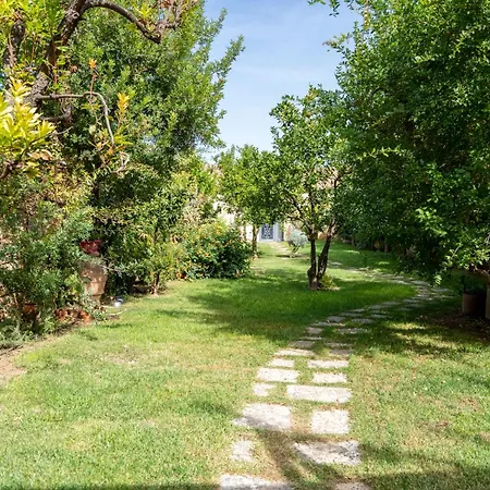 Oda ve Kahvaltı Domus Templaris